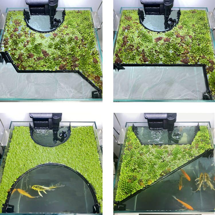Switior Floating Plant Corral for Aquarium, Fish Tank Accessories to Separate Floating Plants, Automatically Adjusts Height with Water Level, Suitable for All Floating Plants and All Aquariums (Style 3) - Image 5