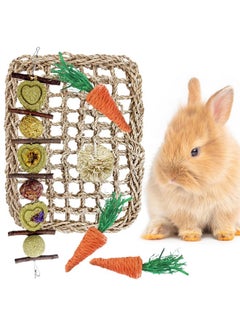Hamiledyi Rabbit Seagrass Activity Mat Bunny Toy Hanging Rabbit Chew Toys for Teeth Rabbit Enrichment Toys Seagrass Protector Mat Small Animal Toys for Chinchilla Guinea Pigs Hamsters Rats Rodent
