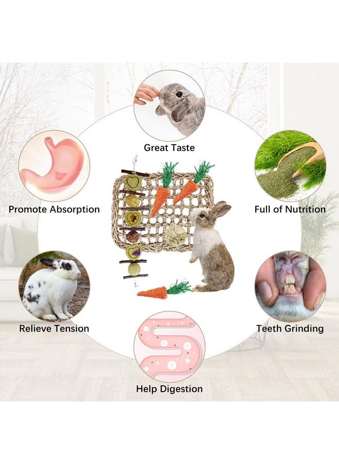 Hamiledyi - Hamiledyi Rabbit Seagrass Activity Mat Bunny Toy Hanging Rabbit Chew Toys for Teeth Rabbit Enrichment Toys Seagrass Protector Mat Small Animal Toys for Chinchilla Guinea Pigs Hamsters Rats Rodent - Image 1