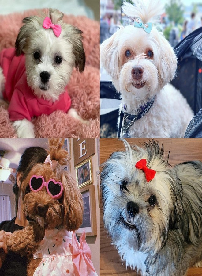Yxiang 100PCS Cute Pet Grooming Accessories - Colored Polka Dot Hair Bows with Rubber Bands for Small Dogs and Puppies like Yorkies - 50 Pairs - Image 4