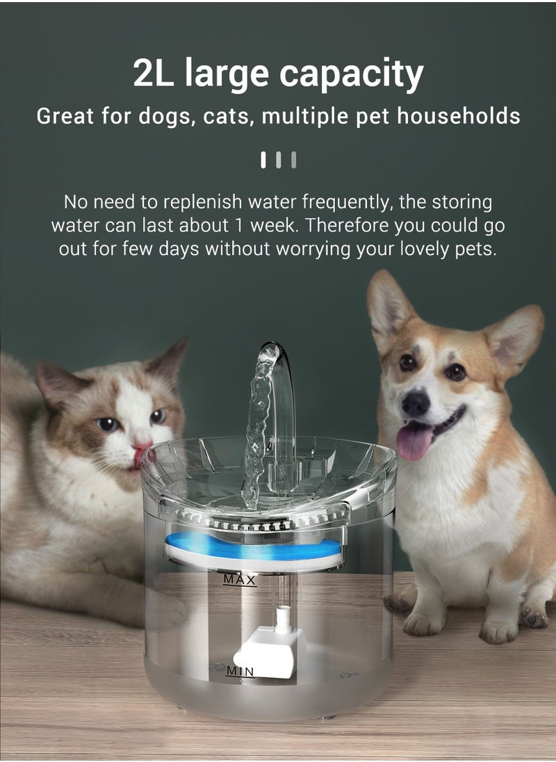 MASINGAA Automatic Pet Water Fountain, 2L Large Capacity, Quad Filtration, Ultra-Quiet Pump, USB Powered, Ideal for Cats and Dogs  - Image 4