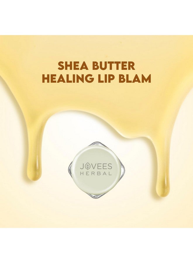 Jovees Herbal Shea Butter Healing Lip Balm 24 Hour Hydration Heals Dry And Flaky Lips Gives Soft And Supple Lips 8G - Image 3
