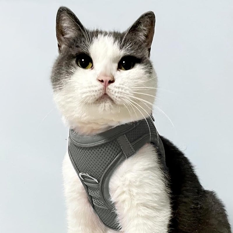 Joytale Small Dog Harness, Breathable Mesh Step-in Vest, Reflective Soft Padded Harnesses for Cats, Puppies and Extra Small Dogs, Gray, XXS - Image 2