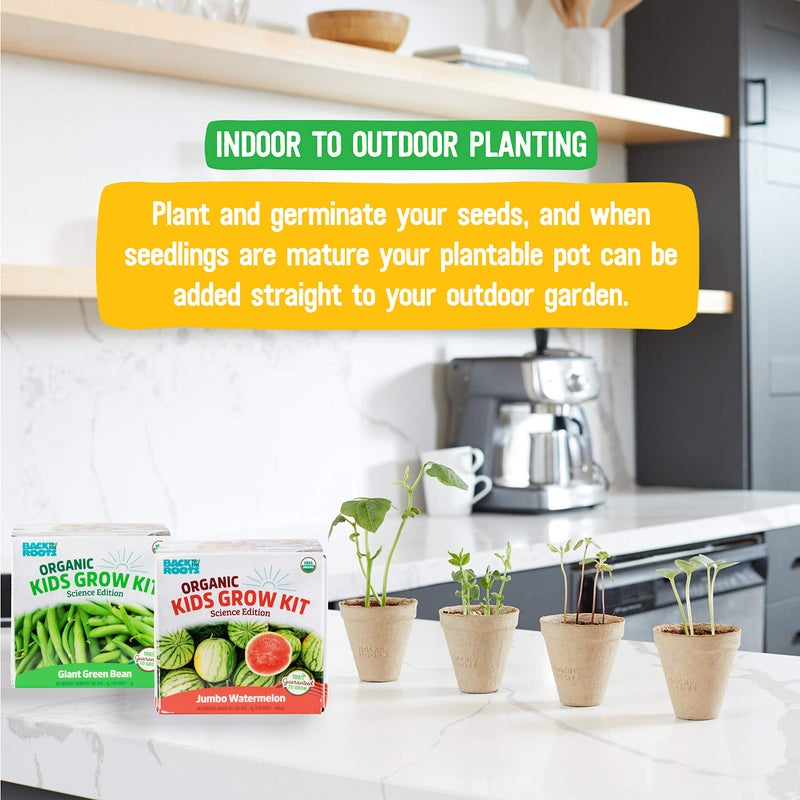 Back to the Roots Back to the Roots Kids Science Grow Kit - 2 pk Bean and Watermelon  - Image 3