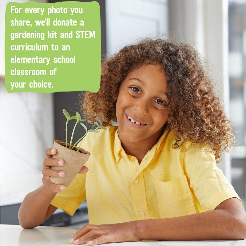 Back to the Roots Back to the Roots Kids Science Grow Kit - 2 pk Bean and Watermelon  - Image 5