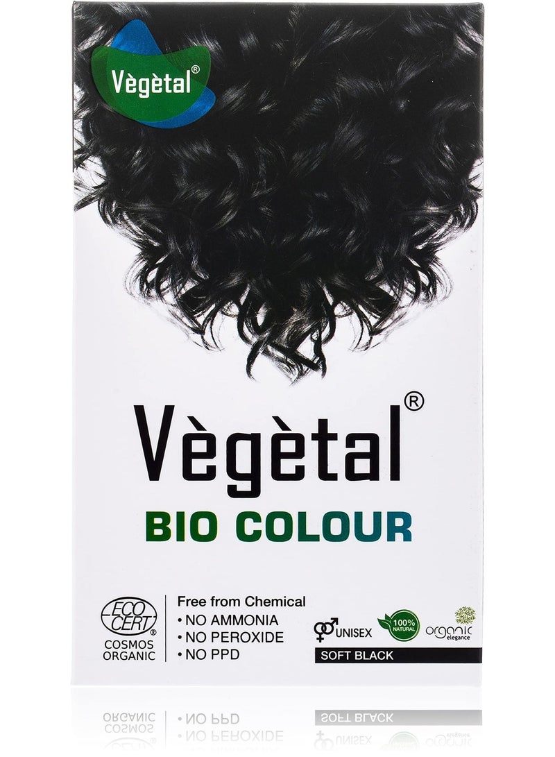 Vegetal Bio Hair Colour Soft Black 100grams - Image 1