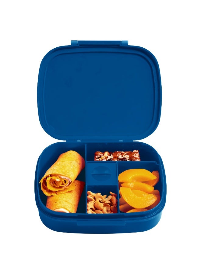 Stephen Joseph Bento Box With Removable Tray Dino - Image 1