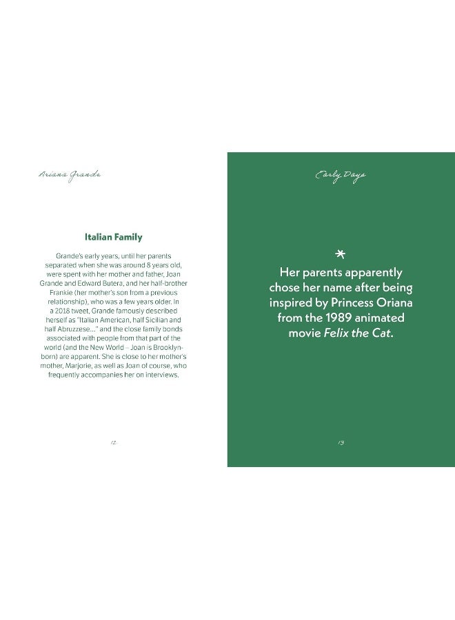 The Pocket Ariana Grande (Gemini Pockets) - Image 4