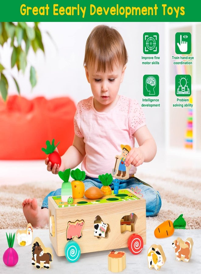 BAYSING Toddlers Montessori Toys for 2,3,4 Year Old Baby Boys and Girls, Educational Wooden Shape Sorting Toys with Vegetables & Farm Animals Blocks, Fine Motor Skills Game, Ideal Gift for Kids Age 1-3 - Image 4