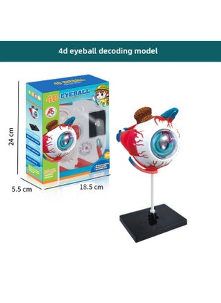 Human Brain Model Human Brain Nerve Brainstem Structure Teaching Appliance Cerebrovascular Distribution Brain Function DIY Toys-Color:Human Body Series [eye Ball Model] - pzsku/Z1A37AE4768D15A9F20DCZ/45/1746011158/7f85c9cf-8703-4cce-b558-dd25cd13044a