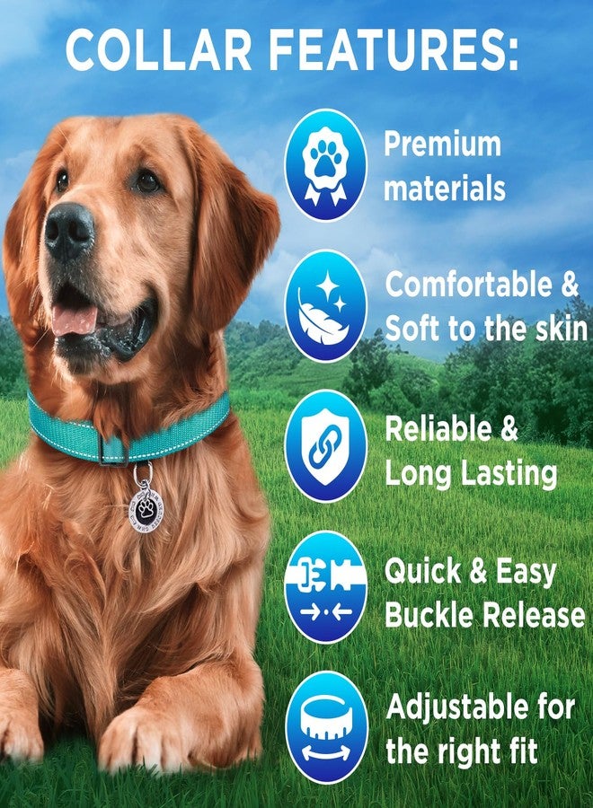 TECEUM Reflective Dog Collar – Teal – S – Basic Nylon Pet Collar – Quick Release Buckle – Fits Small, Medium and Large Dogs, Puppies, Cats – ESA & Service Dog Options - Image 3