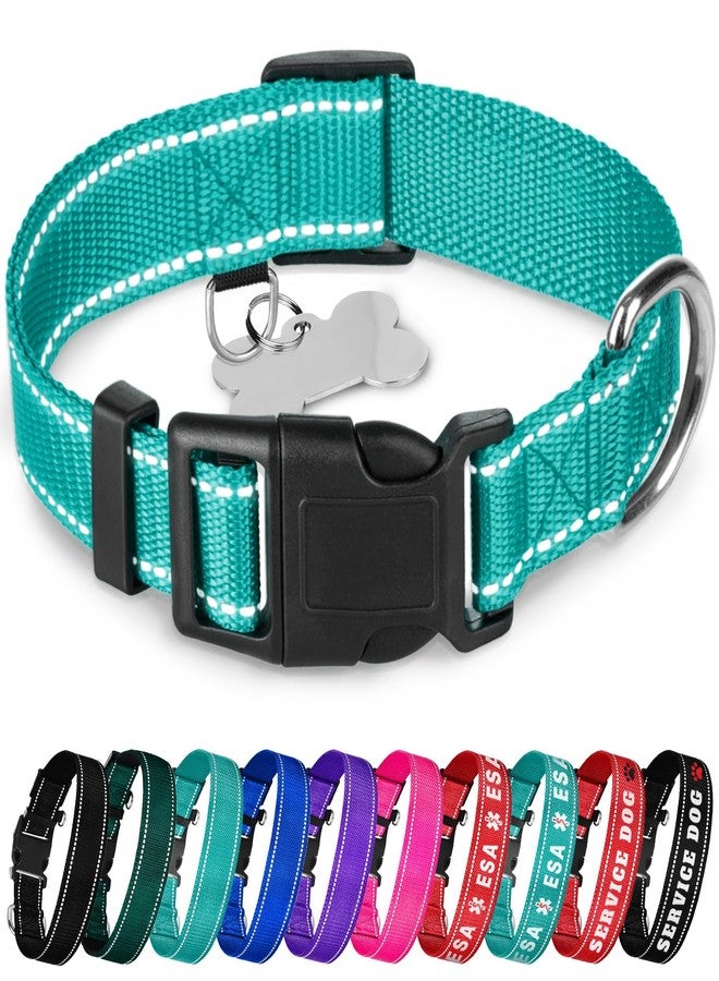 TECEUM Reflective Dog Collar – Teal – S – Basic Nylon Pet Collar – Quick Release Buckle – Fits Small, Medium and Large Dogs, Puppies, Cats – ESA & Service Dog Options - Image 1