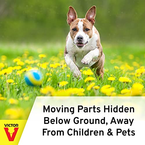 Victor 0645 Plunger Style Mole Trap and Killer - Image 4