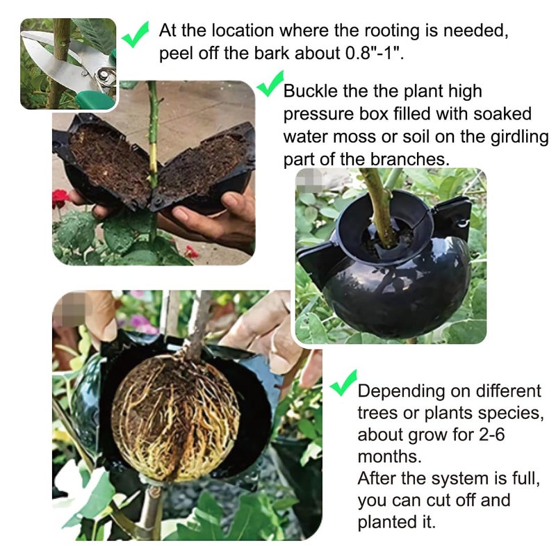 MIIIM 10 PCS Air Layering Propagation Kit with Zip Ties, Reusable Half Transparent Grafting Ball, Air Layering Pods Clear, Plant Rooting Grafting Box for Fast Propagation Plants (Medium) - Image 3