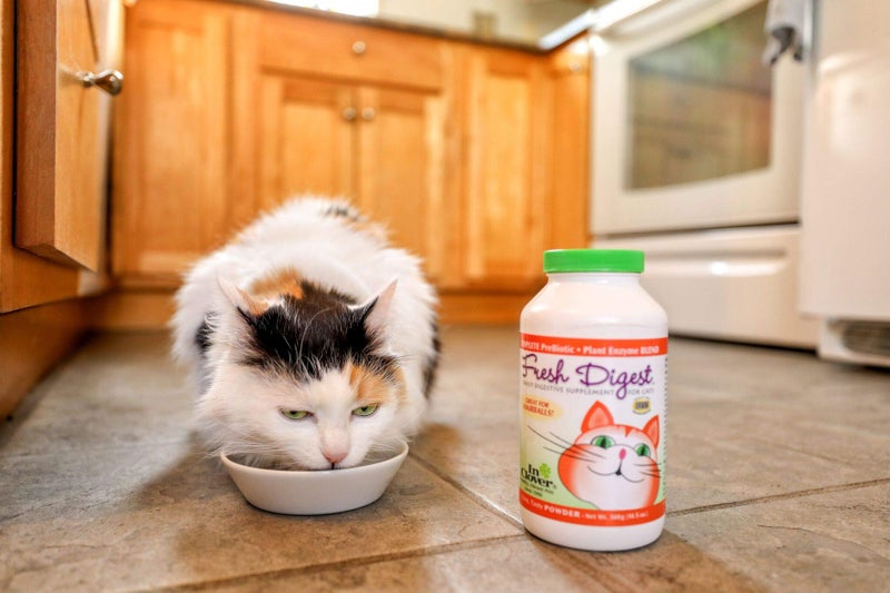 In Clover Fresh Digest Daily Digestive Aid and Immune Support Supplement for Cats, Natural Prebiotic and Enzyme Powder for Healthy Stools, Hairball Control, Stop Litterbox Odor, Works Fast 100g/3.5oz - Image 5