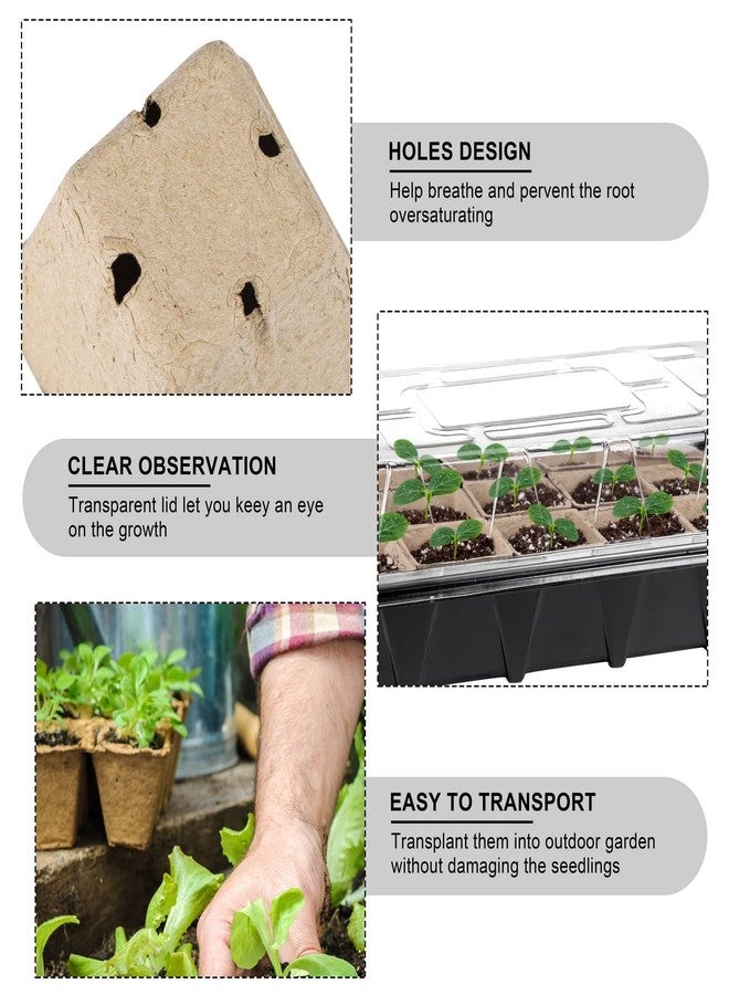 Aodaer 247 Pack Seed Starter Kit Including Peat Pots for Seedlings Seed Starter Tray with Plant Labels, Tool, Plastic Growing Trays Germination Tray Paper Seedling Cups for Indoor Outdoor Garden - Image 3