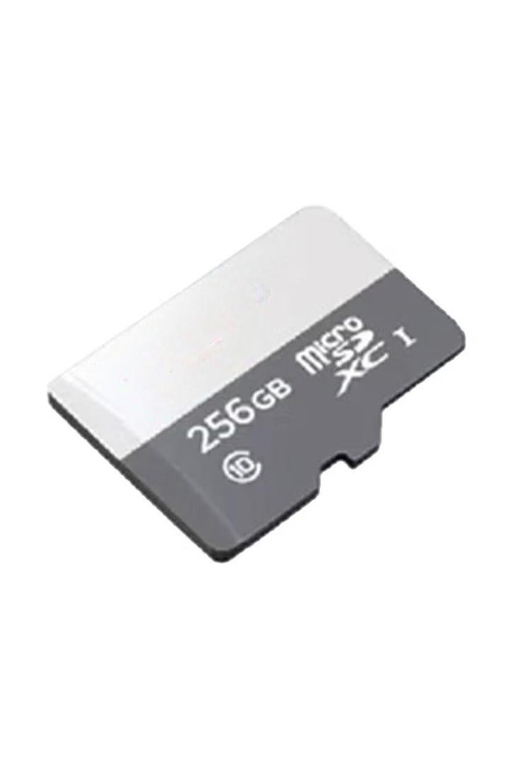 256GB Ultra Microsdxc UHS 1, Read Speed- 100Mb/S,Class 10 rating, -Sdsqunr-256G-Gn3Mn 256 GB - Image 1