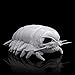 ZHONGXIN MADE Isopod Plush  Lifelike 12 Isopod Stuffed Animal Realistic Bathynomus Giganteus Arthropod Insect Plushie Soft Crustaceans Animals Toys Model Dolls Gifts for Kids - Image 4