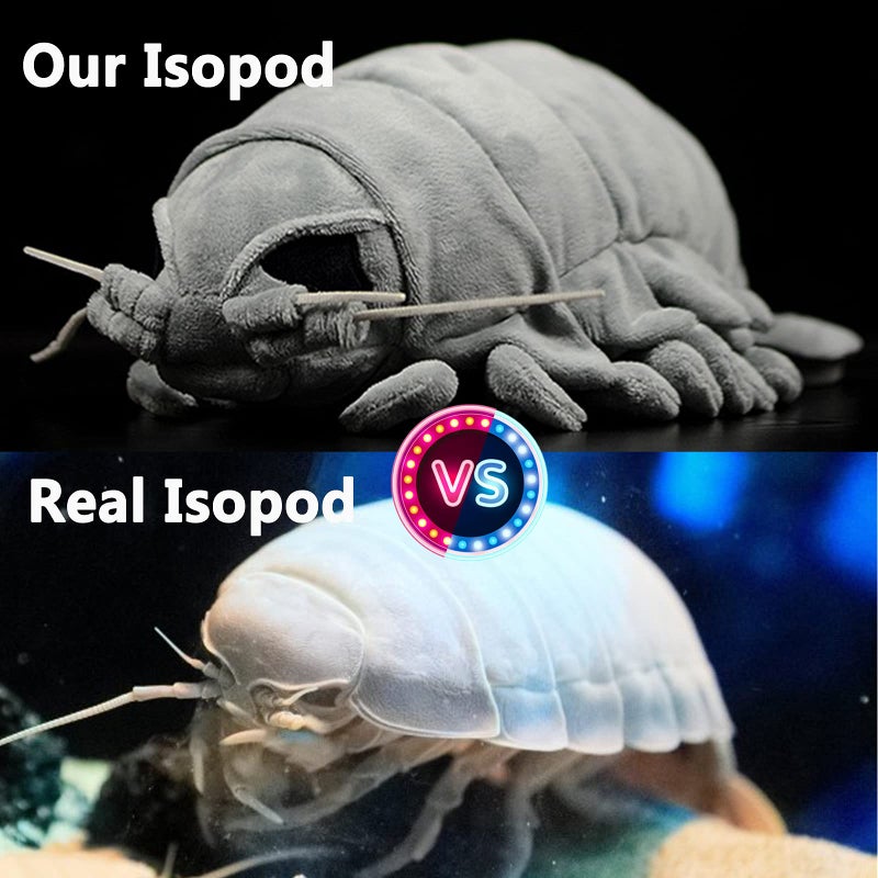 ZHONGXIN MADE Isopod Plush  Lifelike 12 Isopod Stuffed Animal Realistic Bathynomus Giganteus Arthropod Insect Plushie Soft Crustaceans Animals Toys Model Dolls Gifts for Kids - Image 3