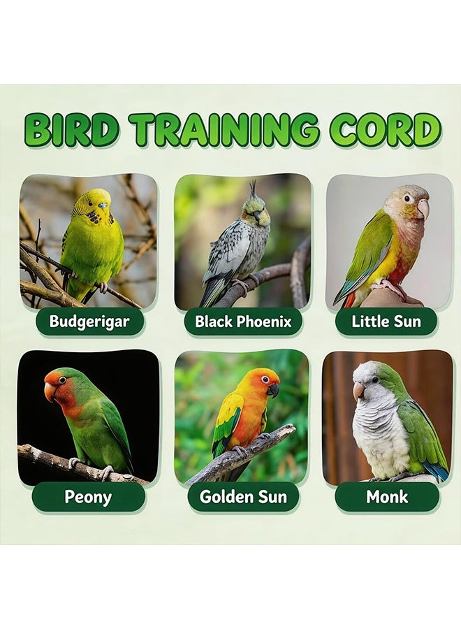 1 Pc 3-Meter Lightweight Bird Leash with Size 4 Foot Loop, Outdoor Training Lead for Small Pet Birds, Suitable for Budgies & Larks - Image 5
