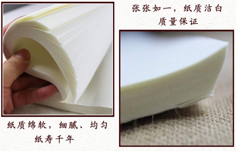 MEGREZ Chinese Japanese Calligraphy Xuan Paper, Rice Paper Sumi Calligraphy Paper for Calligraphy Brush Ink Writing, Painting Without Grids 100 Sheets/Bag,13.4X 26.7inch, Sheng (Raw) Xuan - Image 5