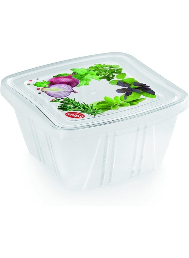 Snips Food Classic Fresh Container 0.25 Liter Square, Multi-Color, One Size - Image 1