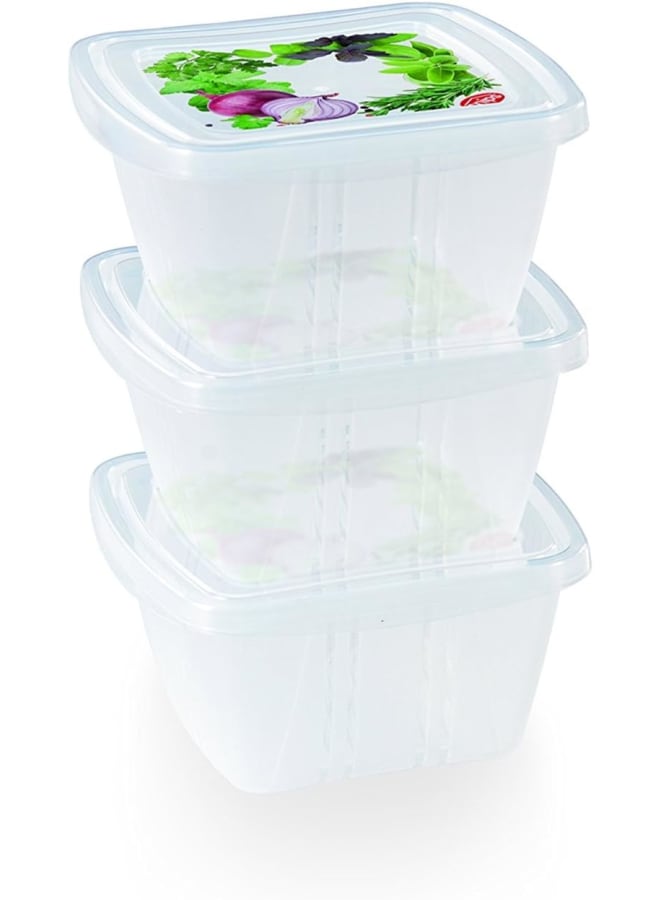 Snips Food Classic Fresh Container 0.25 Liter Square, Multi-Color, One Size - Image 3