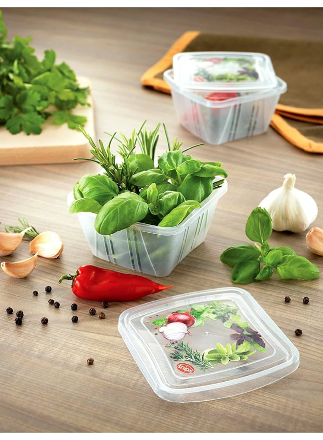 Snips Food Classic Fresh Container 0.25 Liter Square, Multi-Color, One Size - Image 2