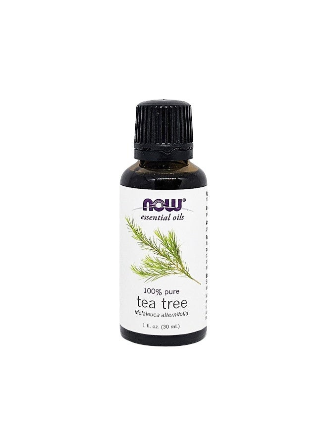 Now Foods Now Essential Oils, Tea Tree Oil 1 Fl. Oz. - Image 1