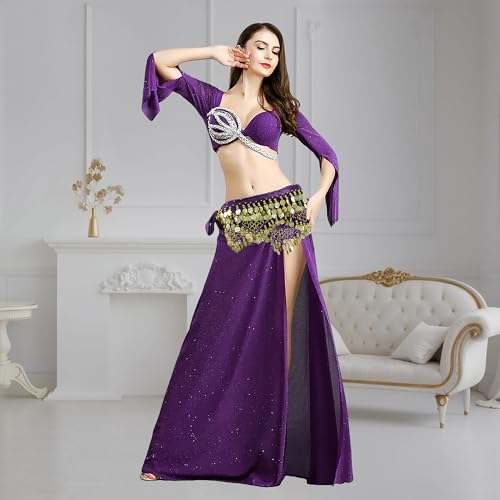 Baisdan 3pcs Belly Dance Scarves, Belly Dance Hip Scarf with Coins, Dancing Skirts for Women, Dancer Outfit Halloween Costume, 3Pack, Red+Blue+Purple - Image 5