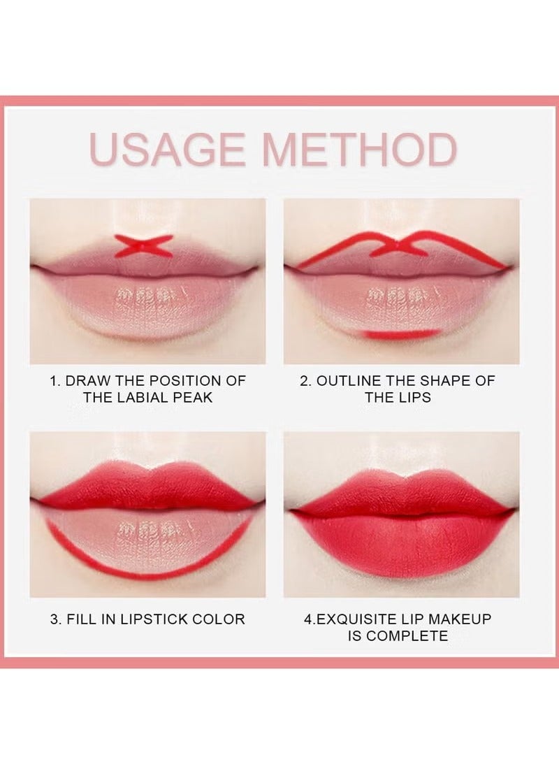 Dragon Ranee 12 Colors Matte Lip Liner/Lipstick Set,One Step Lips Makeup Kit,Velvet Nude Collection Waterproof Long Wear Lip Gloss, Lip Liner for Women To Create The Perfect Matte Lip Look! - Image 5