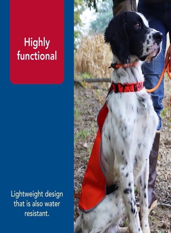 Coastal Pet - Water & Woods Reflective Dog Safety Vest by Coastal Pet - Improves Dog's Visibility - Ensures Dog's Comfort - Adjustable Fit - Large (Over 50 lbs.), 22" Length x 17 3/4"-23 3/4" Waist - Image 5