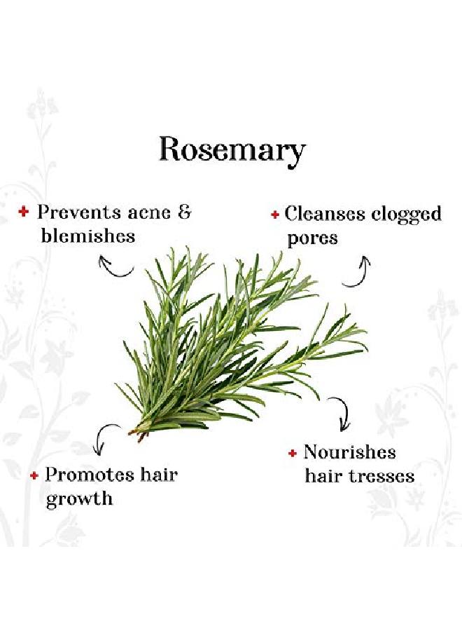 ALPS GOODNESS زيت إكليل الجبل العطري (30 مل) يحفز نمو الشعر يساعد في توحيد لون البشرة للشعر والبشرة خالي من القسوة - Image 4