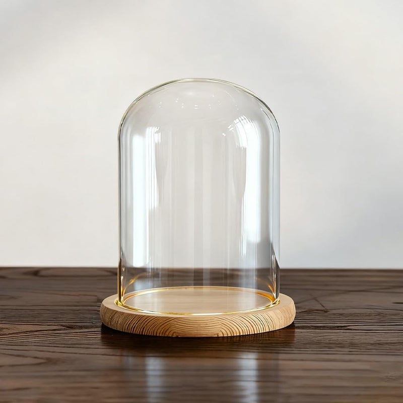 DuvinDD Glass Dome Cloche with LED Light Base Bell Jar Display Dome Clear Small Glass Display Case Candle Cover 43 D X 47 H Gifts for Women