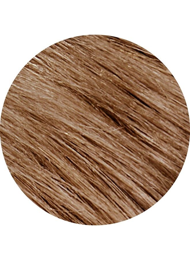 tints of nature صبغة شعر دائمة مرطبة، أشقر داكن طبيعي 6N، 4.4 أونصة سائلة - Image 4