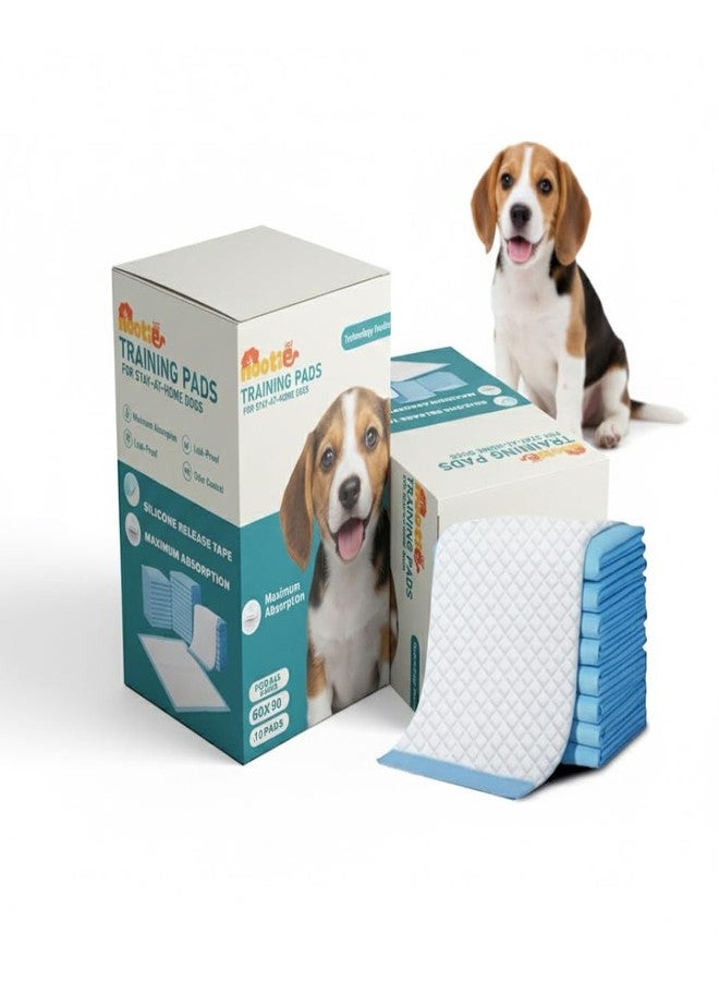Nootie Disposable Pet Training Pads for Puppy | Quick-Dry Surface, Super Absorbent, Leak-Proof, Odour Control, Pee Pads for All Breeds Puppies | 10 Pads (60x90 cm) - Image 1