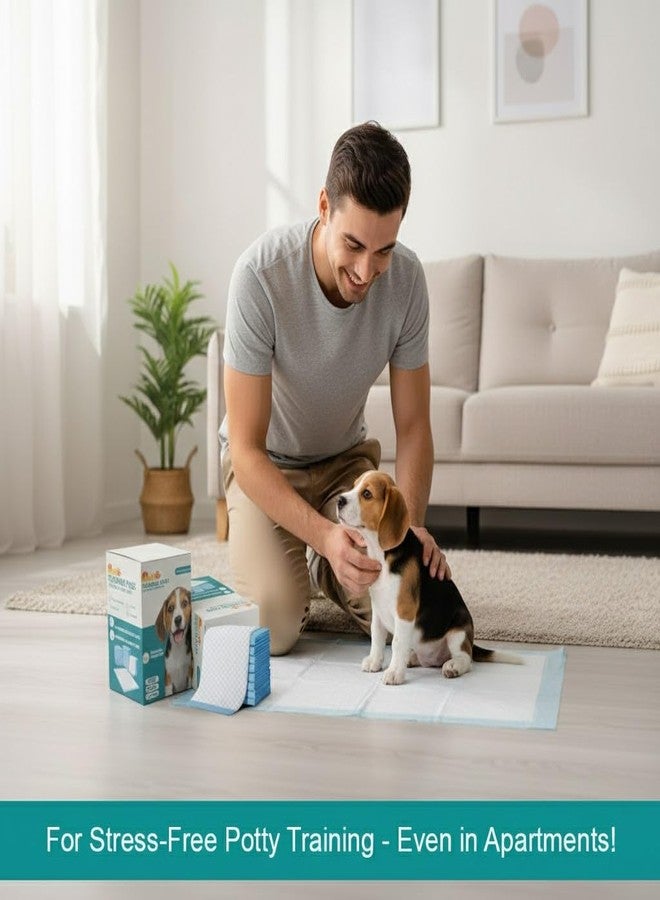 Nootie Disposable Pet Training Pads for Puppy | Quick-Dry Surface, Super Absorbent, Leak-Proof, Odour Control, Pee Pads for All Breeds Puppies | 10 Pads (60x90 cm) - Image 3