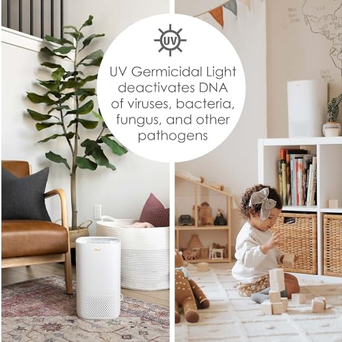 Crane Air Purifier with True HEPA Filter, UV Light, 250 Sq Feet Coverage, Timer Function, Sleep Mode, Washable Particle Filter, EE-5067 - Image 5