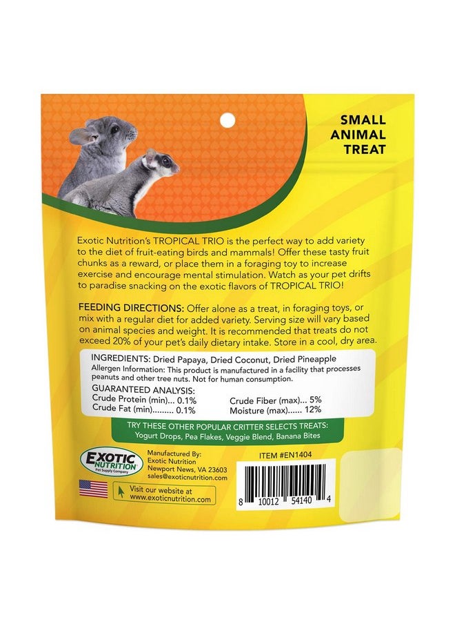 EXOTIC NUTRITION Tropical Trio - Healthy Natural Mixed Dried Fruit Treat - Papaya, Coconut, Pineapple - for Sugar Gliders, Squirrels, Prairie Dogs, Skunks, Marmosets, Parrots, Birds, Rats, Small Pets (4.5 oz.)  - Image 3
