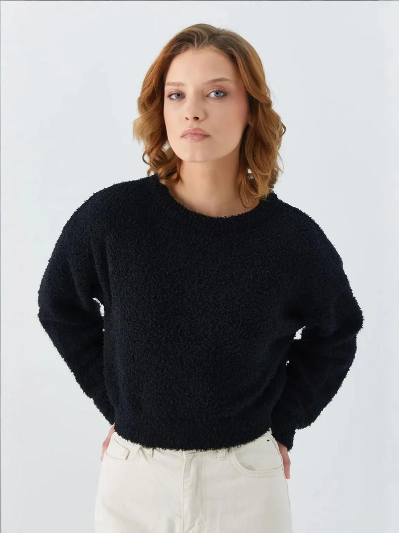 Mixray Black Mixray Plush Textured Crop Knit Sweater for Women | Best Price UAE