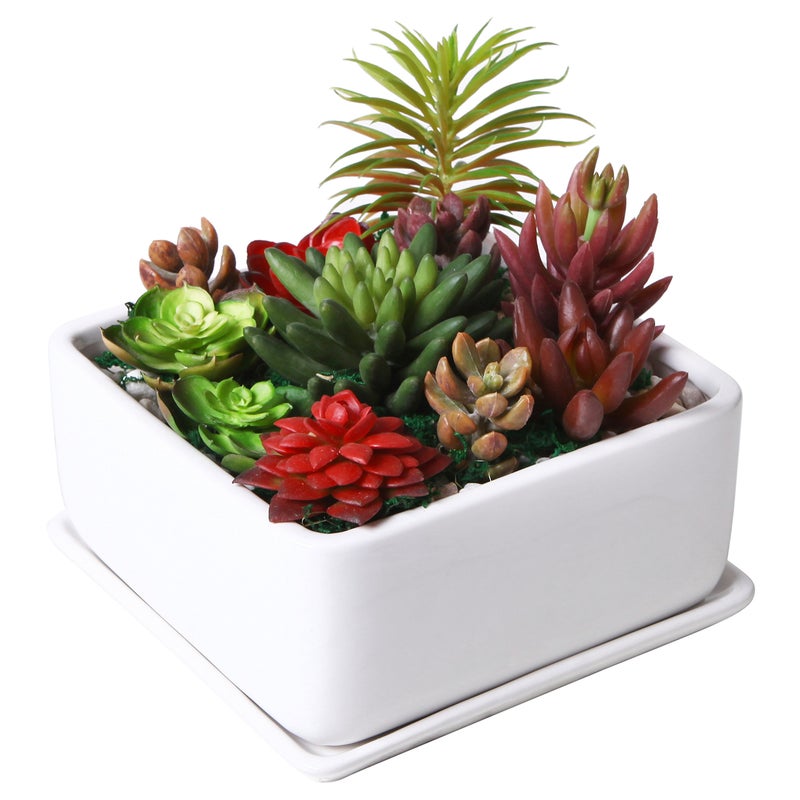 MyGift Modern White Ceramic Square Indoor Small Planter, Flower Succulent Plant Pot with Drainage Hole and Removable Drip Tray - Image 1