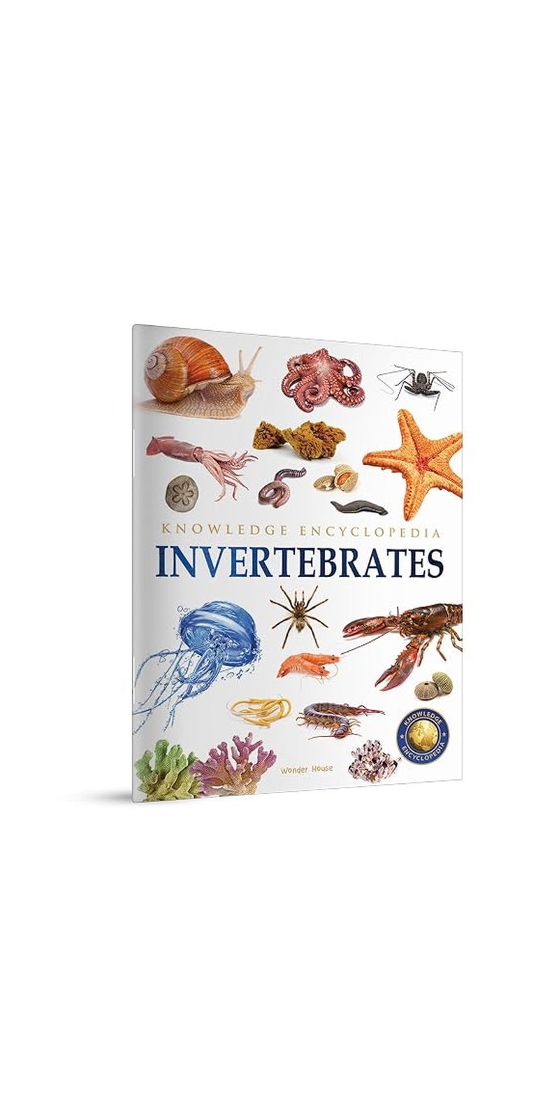 Animals - Invertebrates : Knowledge Encyclopedia For Children | Published by Wonder House Books | Paperback