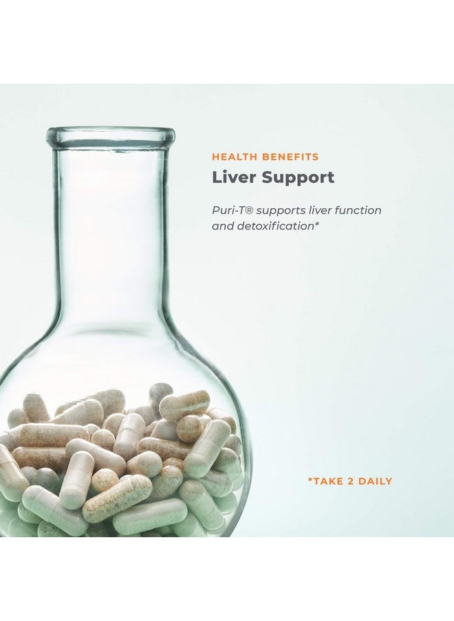 Lifeseasons Purit Liver Support And Cleanse Supplement Support Stamina Supports Liver Tissue And Aids In Healthy Bile Flow Contains Artichoke Nacetyl Cysteine Turmeric And Milk Thistle 60 Capsules