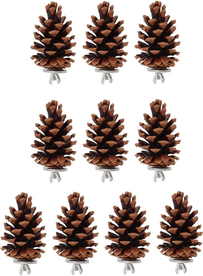 زيروديس ١٠ قطع من مخاريط الصنوبر مع صواميل تثبيت، لعبة مخاريط الصنوبر لمضغ الأضراس للببغاوات الصغيرة مثل الكوكاتيل والكونيور والكناري والببغاء الأسترالي والماكاو، تعزز صحة الفم والمخالب، زينة متعددة الاستخدامات للقفص - Image 2