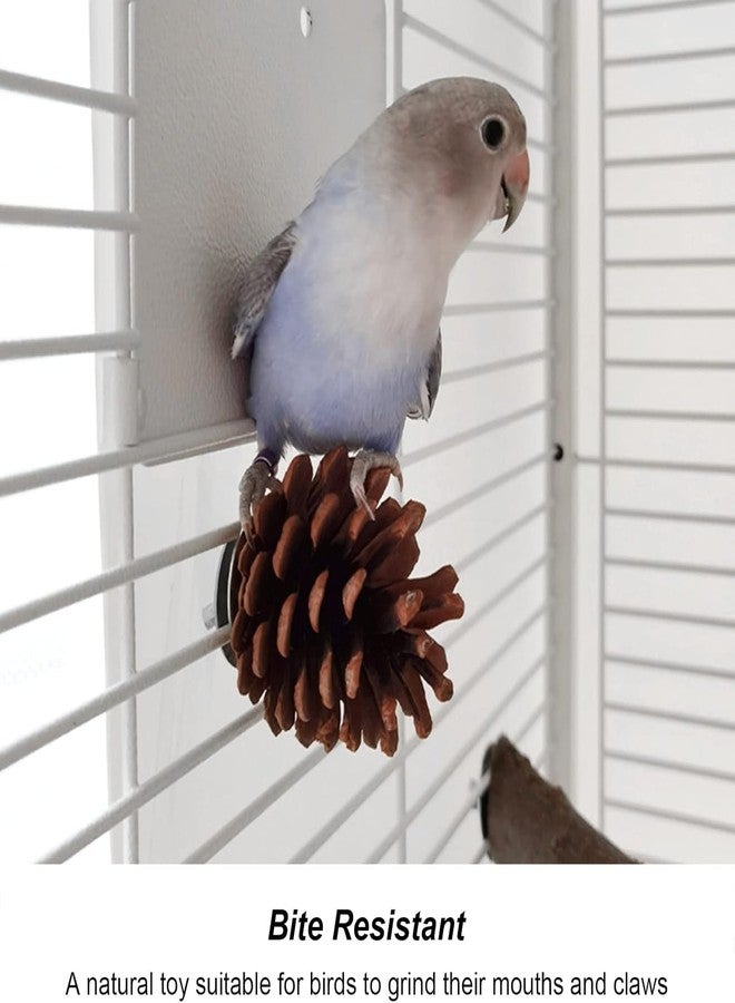زيروديس ١٠ قطع من مخاريط الصنوبر مع صواميل تثبيت، لعبة مخاريط الصنوبر لمضغ الأضراس للببغاوات الصغيرة مثل الكوكاتيل والكونيور والكناري والببغاء الأسترالي والماكاو، تعزز صحة الفم والمخالب، زينة متعددة الاستخدامات للقفص - Image 4