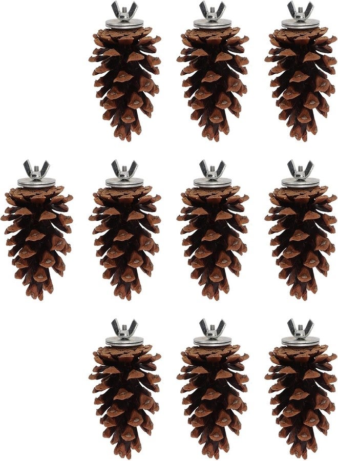 زيروديس ١٠ قطع من مخاريط الصنوبر مع صواميل تثبيت، لعبة مخاريط الصنوبر لمضغ الأضراس للببغاوات الصغيرة مثل الكوكاتيل والكونيور والكناري والببغاء الأسترالي والماكاو، تعزز صحة الفم والمخالب، زينة متعددة الاستخدامات للقفص - Image 1