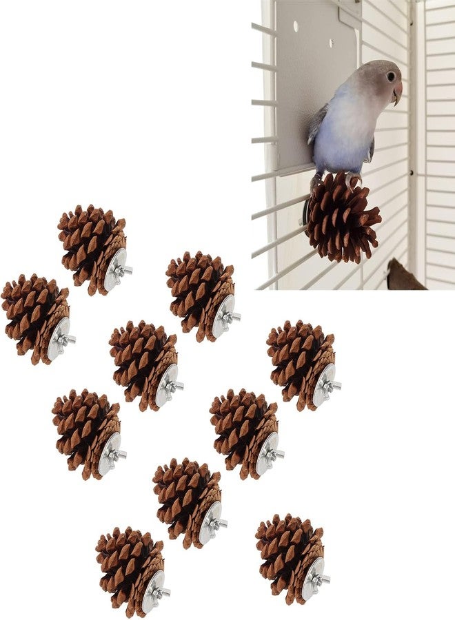 زيروديس ١٠ قطع من مخاريط الصنوبر مع صواميل تثبيت، لعبة مخاريط الصنوبر لمضغ الأضراس للببغاوات الصغيرة مثل الكوكاتيل والكونيور والكناري والببغاء الأسترالي والماكاو، تعزز صحة الفم والمخالب، زينة متعددة الاستخدامات للقفص - Image 5