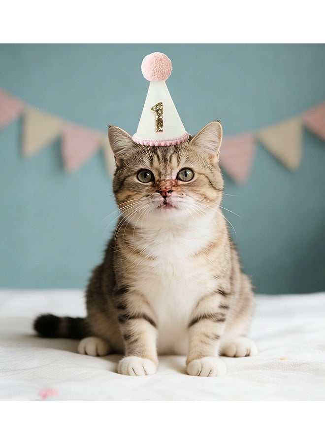 قبعة مخروطية باللون الوردي الفاتح مع شمعة عيد ميلاد أول لطفلات الرضع قبعة حفلة عيد ميلاد أول من القماش المحايد لالتقاط صور تقطيع الكعكة احتفالات عيد الميلاد الأول صور معالم بارزة ملابس الحفلات ديكورات عيد الميلاد - Image 4