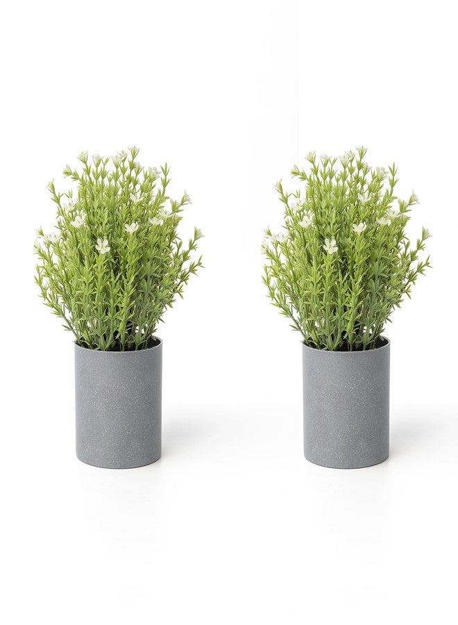 Fuxdre 2 Pack Small Desk Plants, Artificial Bathroom Plants Decor with Thyme Flower in Vintage Melamine Pots, Faux Plants Indoor for Shelf Decor in Home Office, and Spring Decor (Ivory) - Image 1