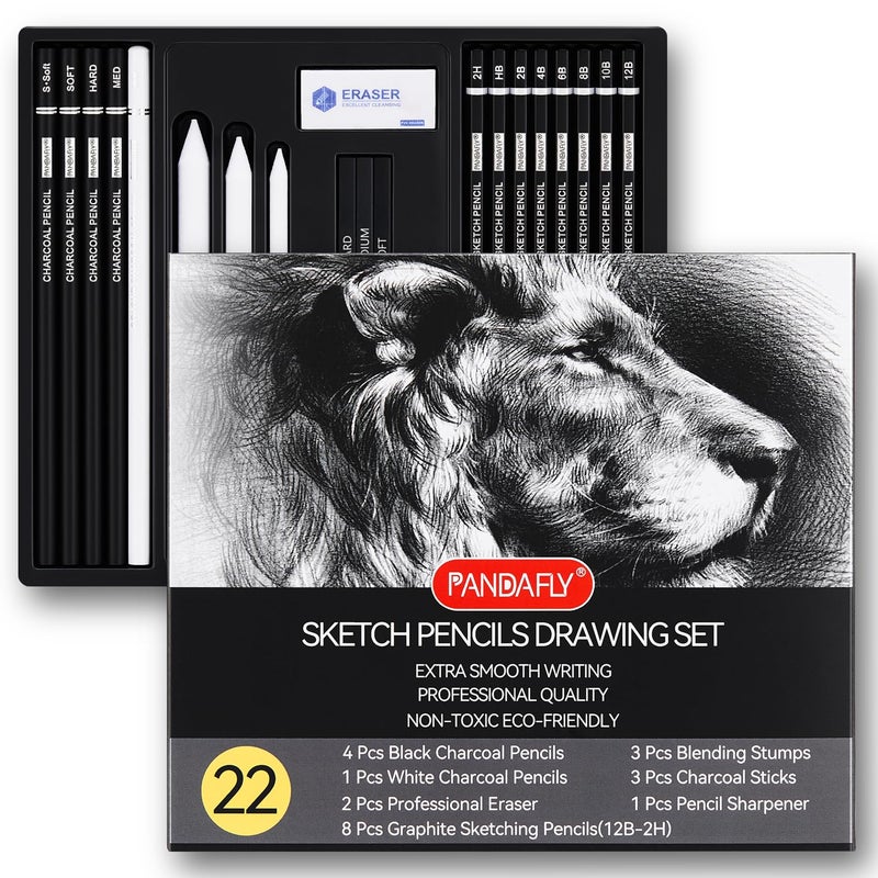 PANDAFLY Drawing Sketching Pencil Set, 22 Piece Pro Art Pencil Kit - Graphite Pencils (12B-2H), Black and White Charcoal Pencils, Charcoal Sticks, Stumps, Eraser, Sharpeners - Image 1
